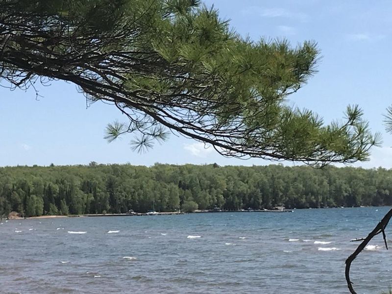 A pine tree branch in the foreground that hangs over the Stockton Island dock & beach. Green trees layer the land near the dock. There is blue water with white cap waves