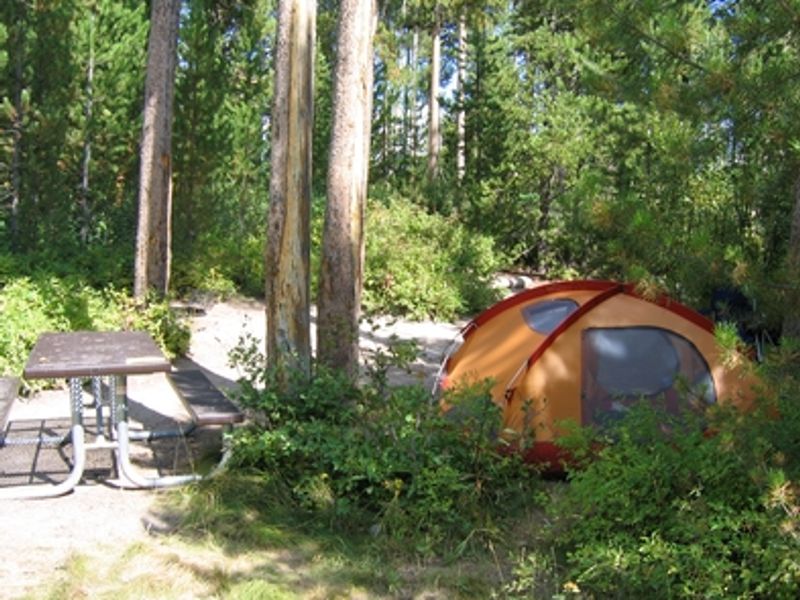 Campsite with Shade