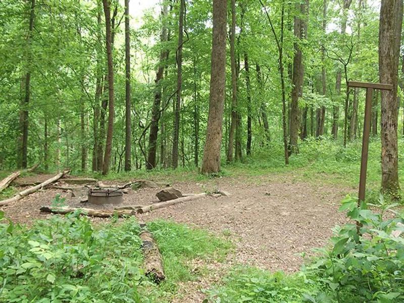 McCoy Hollow Campsite