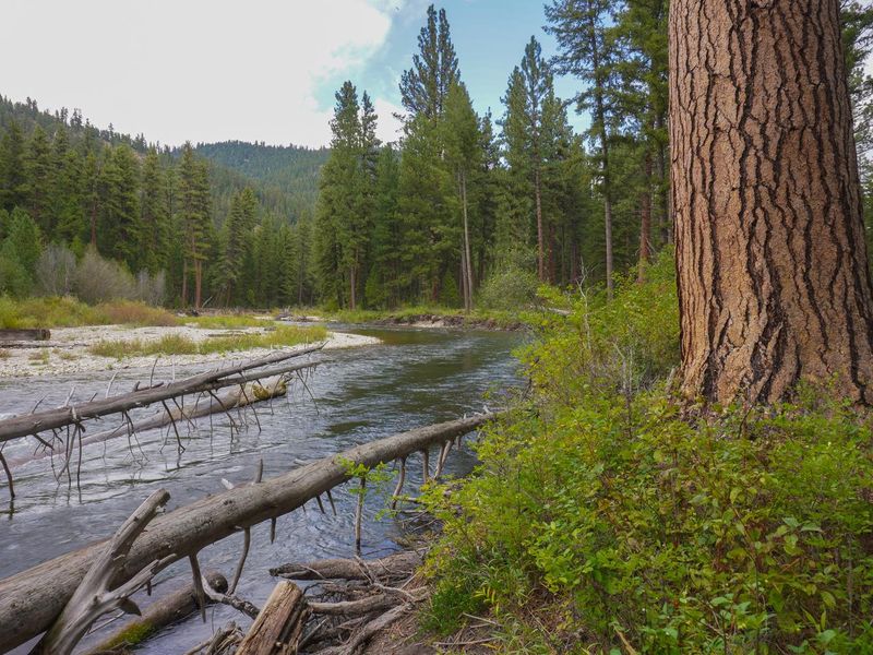 West Fork Bitterroot River at Rombo