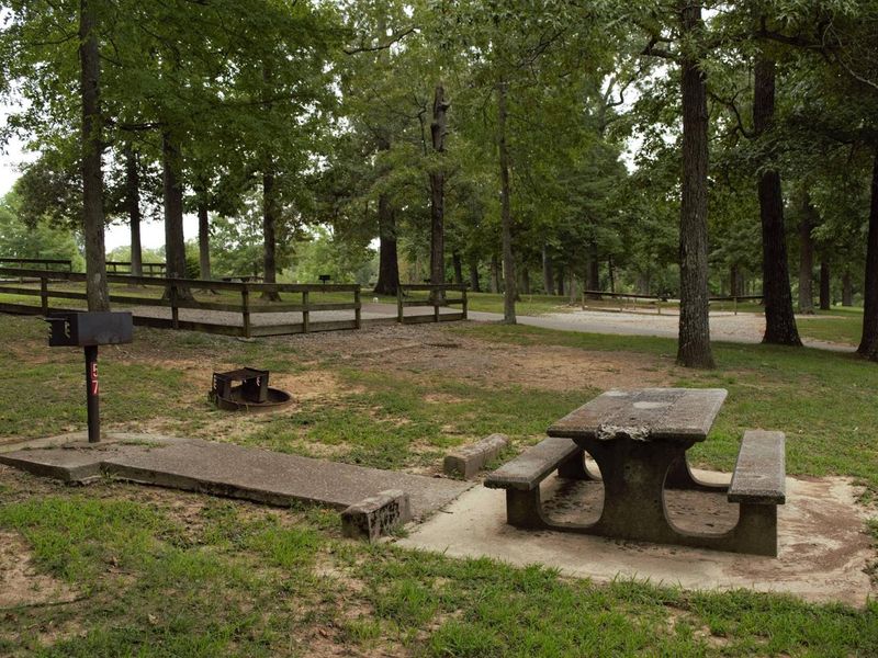 WILLOW GROVE CAMPGROUND TENT SITE