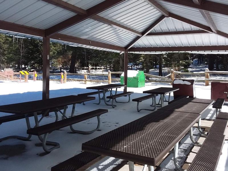 Black Bear Group Campground