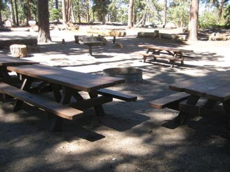 Shaded Picnic Tables & BBQ Grill at Bluff Mesa Group Camp