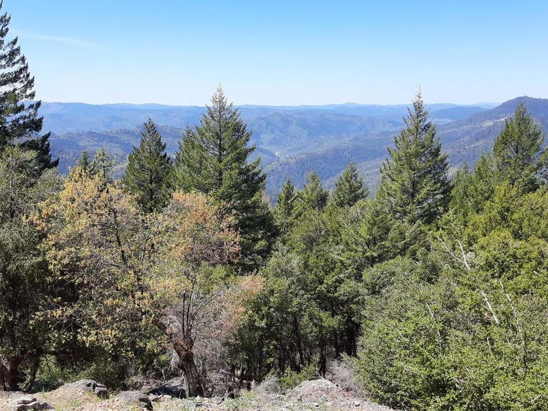 Vista from backside of lookout.