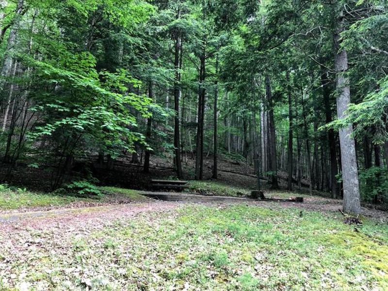 Views of Hurricane Campground 