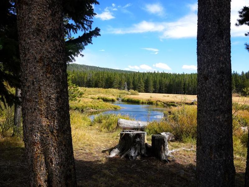 Creek near Island Park