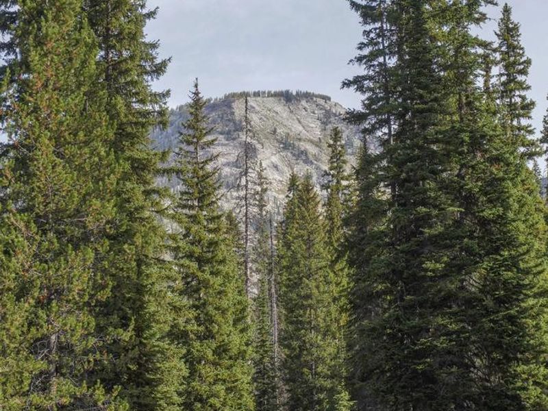 Views near the cabin