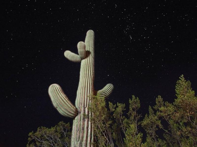 The night skies are spectacular here!