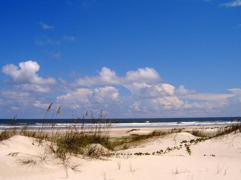 Cumberland Island is home to 17 miles of undeveloped beach offering excellent opportunities for beach combing, swimming, photography, and solitude. 