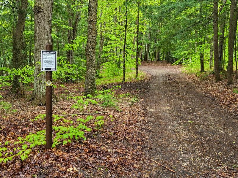 Minerva Site Entrance