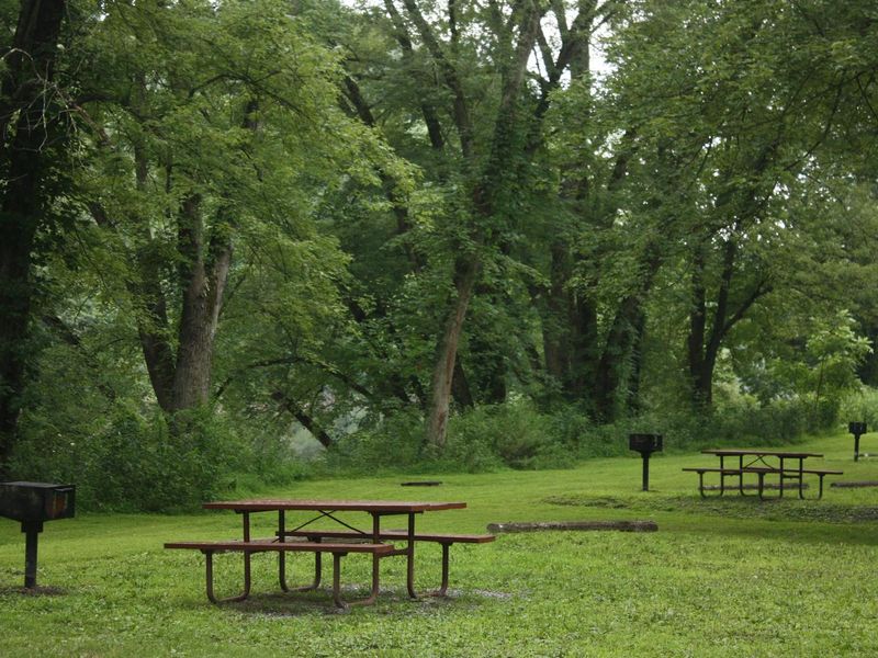 Multiple campsites in foreground and background