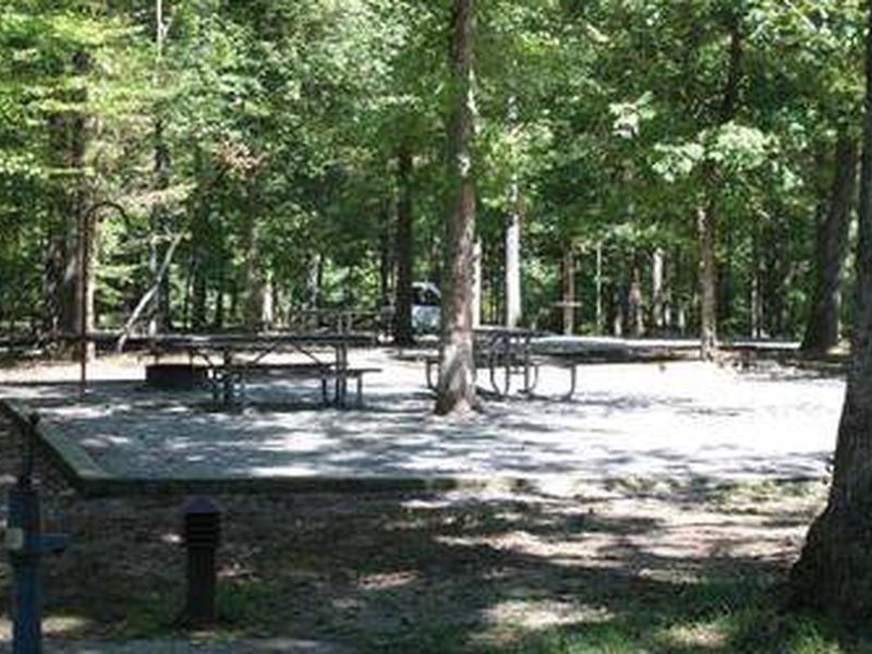 Large site with two picnic tables, fire ring located near potable water pump.