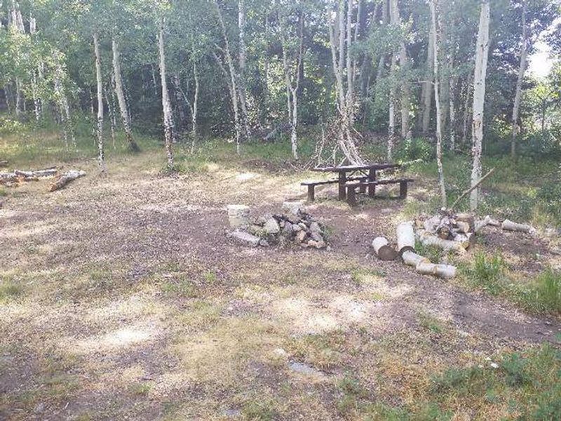 Dawson Cabin picnic table