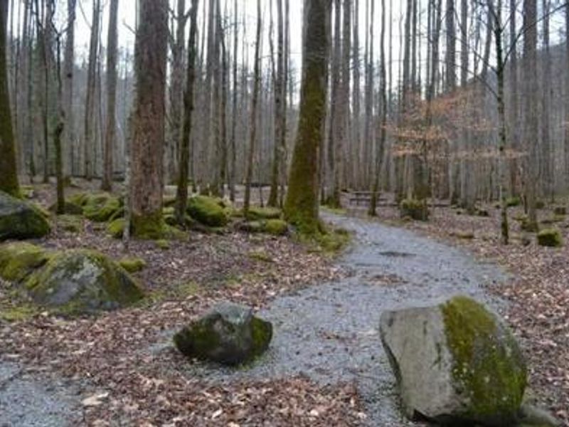 Walkway from parking to campsites. 