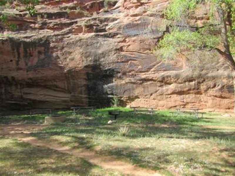 Moonflower Canyon Group Site (3)