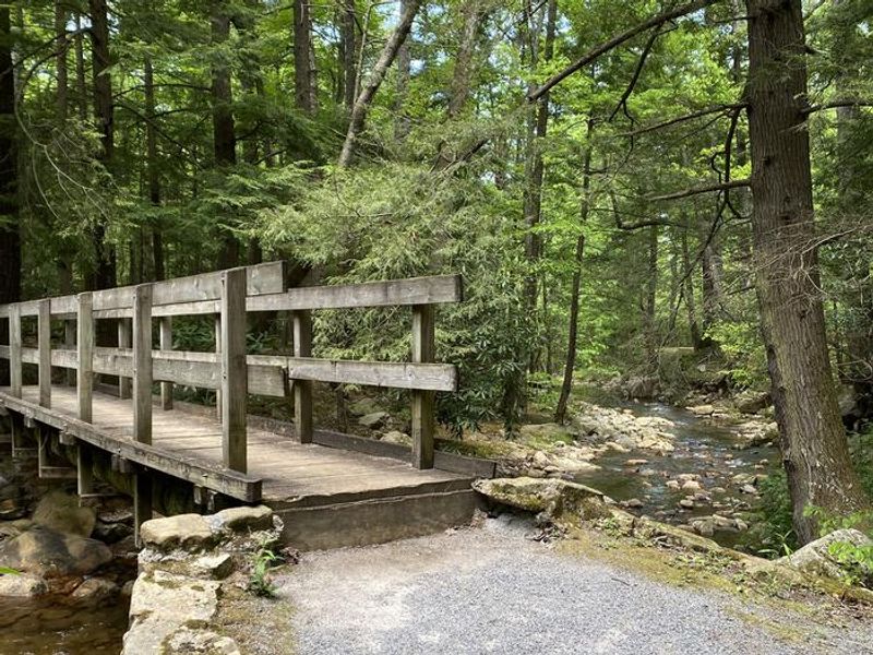 One of the bridges on the trail that goes around the campground.