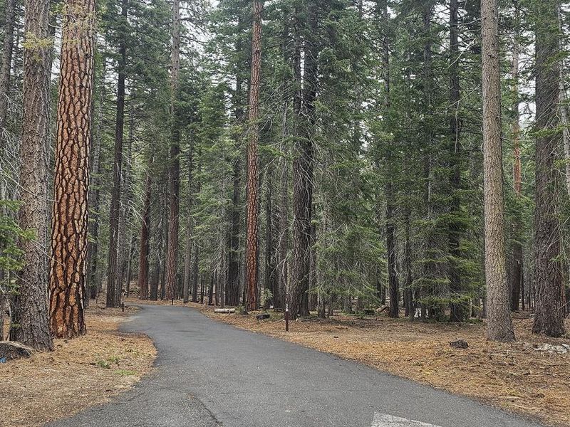 Shows the Group 1 site beginning