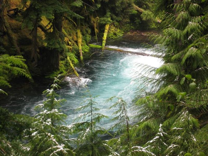McKenzie River, Willamette National Forest