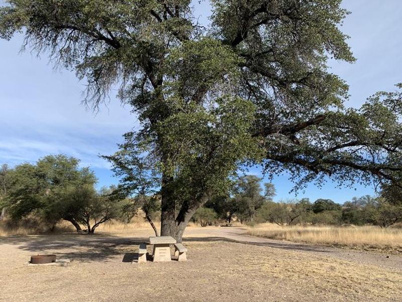Paths are grated and even from the main paved road and throughout the campsite.