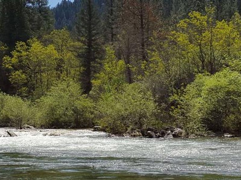North Fork Yuba River at Carlton
