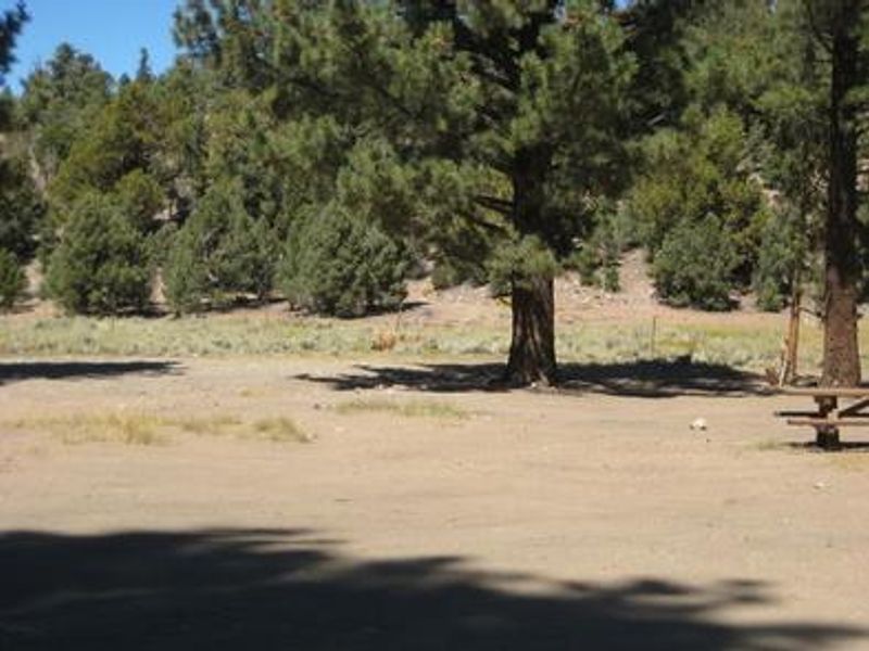 Juniper Springs Group Campground picnic tables