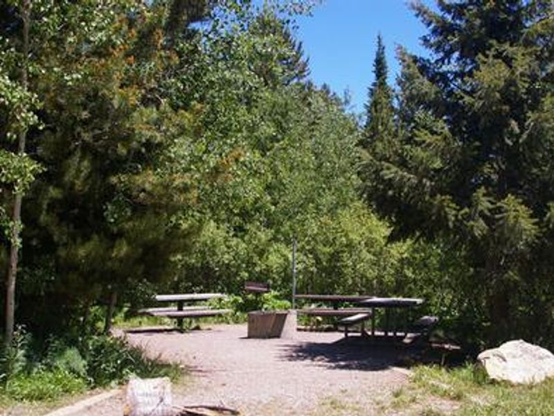 Summer sun beams on campsite