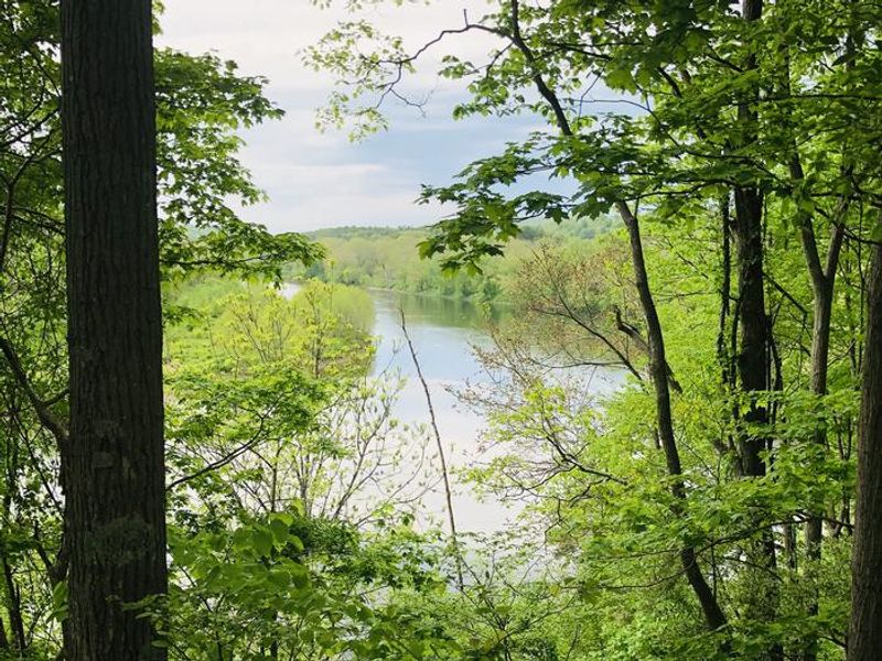 Nice view looking upriver on the the Delaware from the sitting area at River's Bend. 
