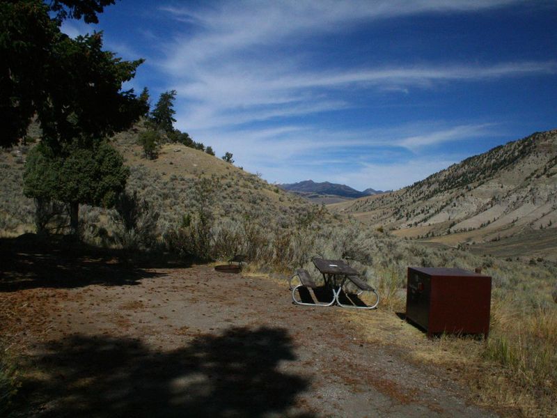 Mammoth Campsite #45