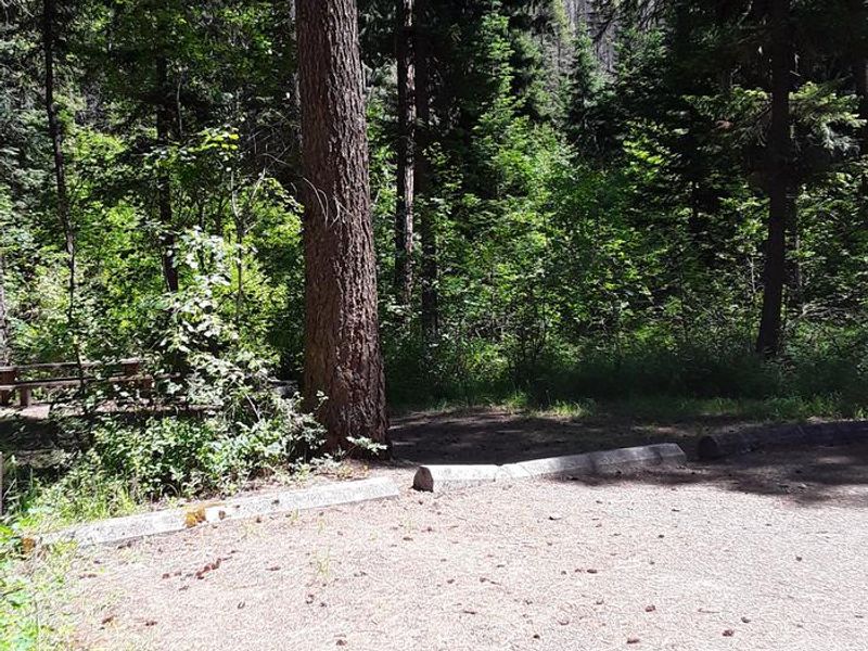 Trout Creek Campground