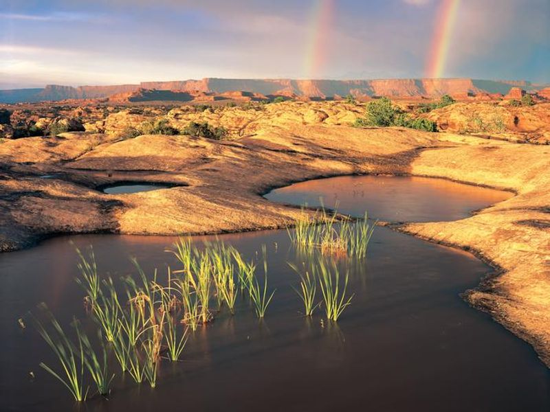 Pothole Point is an easy self-guiding trail in the Needles District