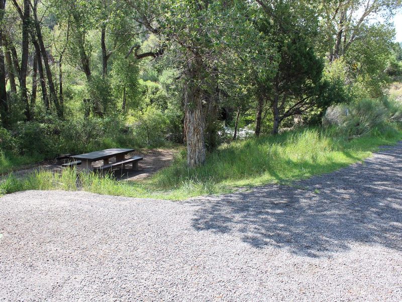 Campsite on the creek