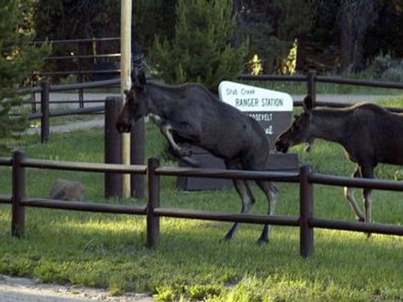 Visitors to Stub Creek.