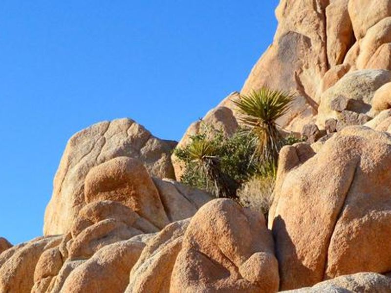 Rocks at Indian Cove, Joshua Tree National Park