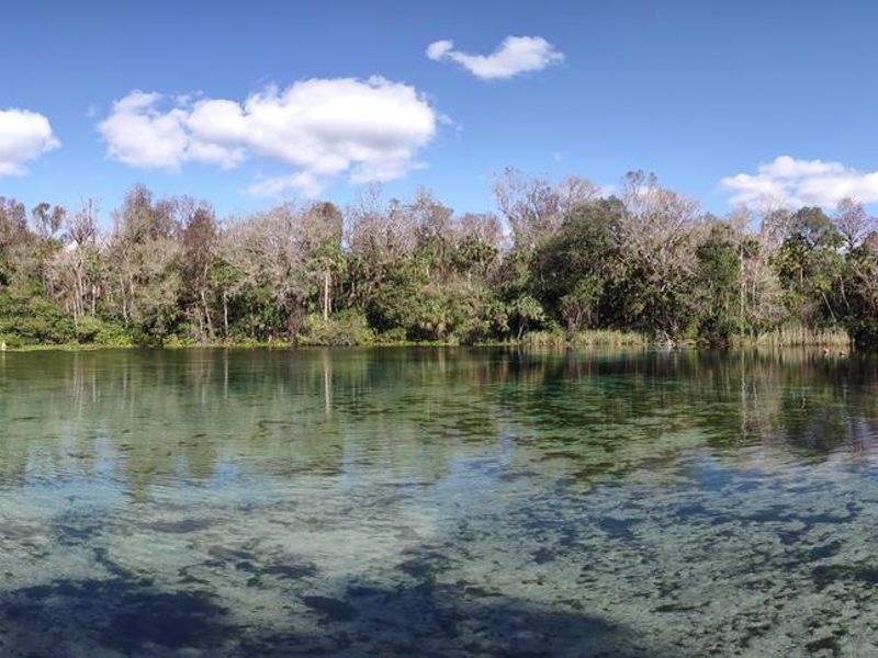 Beautiful swimming area