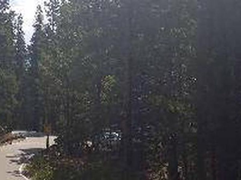 Printer Boy Group Campground