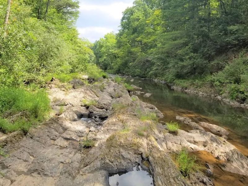 Potts Creek at Steel Bridge Campground