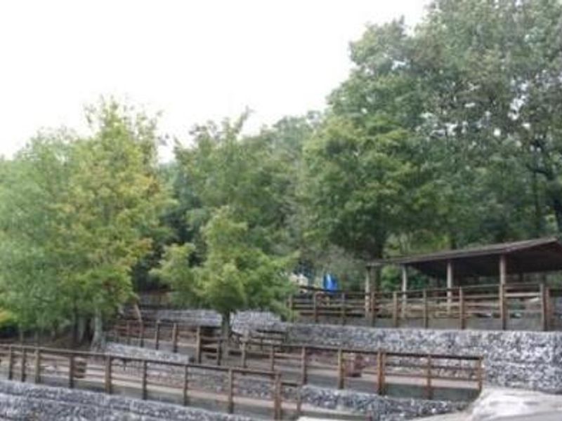 Fall Creek picnic area and shelter