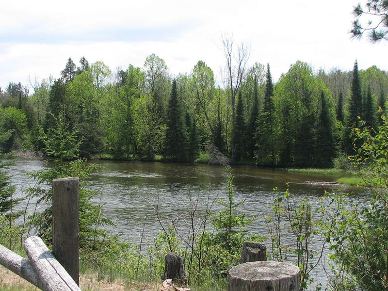 A view of the Au Sable River from the Au Sable Loop Day Use Area