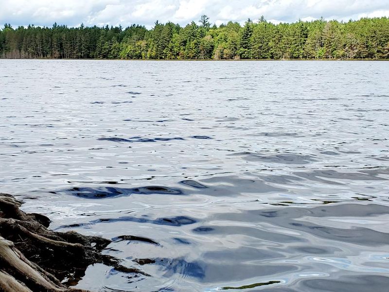 Fall View of Swan Lake