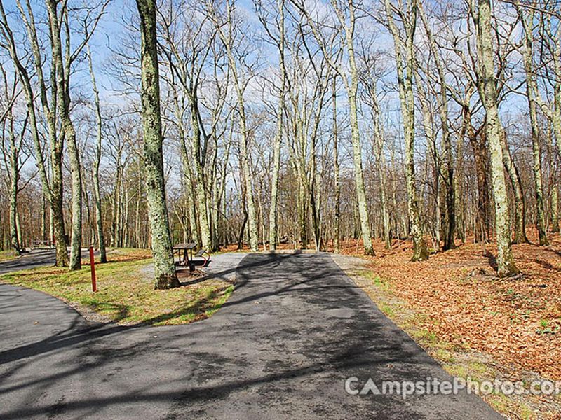 Lewis Mountain Campsite #31