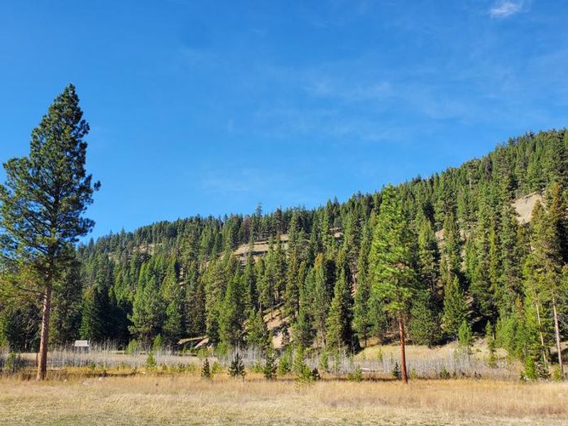 Fales Flat Campground