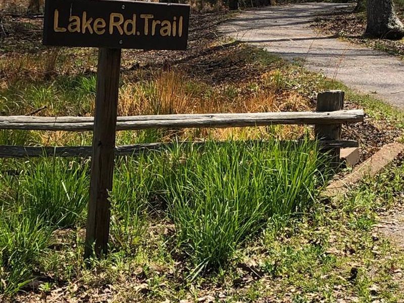 Lake Rd. Trail