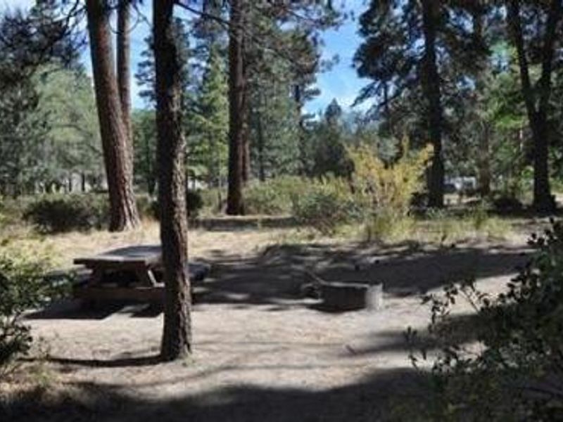 Picnic Table & Fire Pit at Hanna Flat Campground