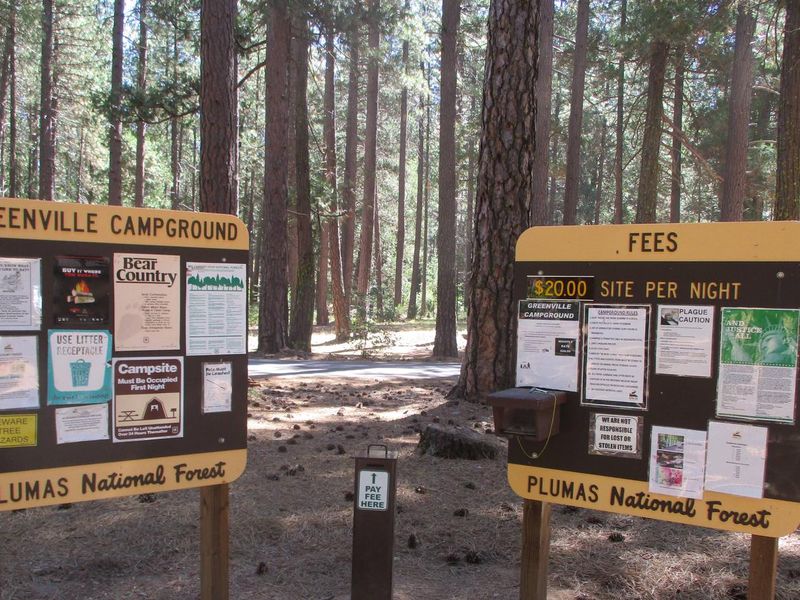 Rules, Regulations & Fees