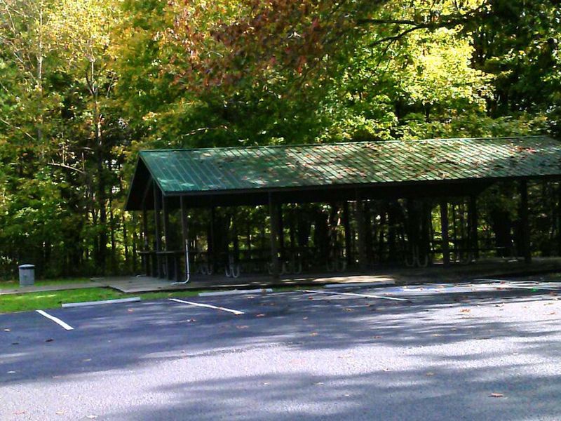 Big Oak Picnic Shelter