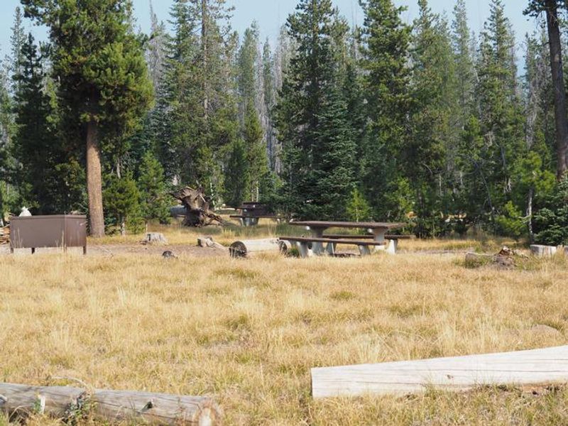 Lost Creek Campsites are settled in a grassy meadow surrounded by conifers.