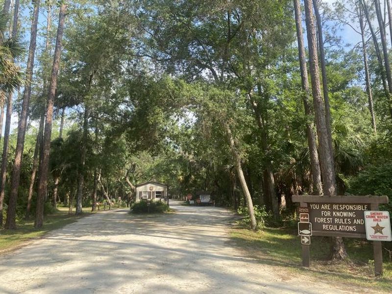 A photo of facility Fore Lake Campground with Picnic Table, Electricity Hookup, Fire Pit, Shade, Food Storage, Lantern Pole