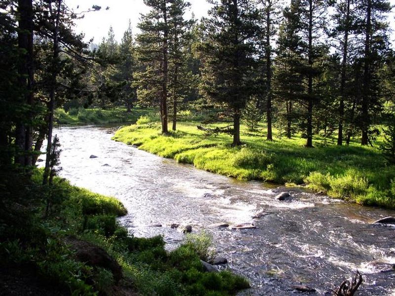 River near Dead Swede