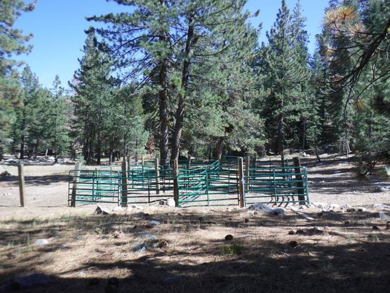 Shared Corral 