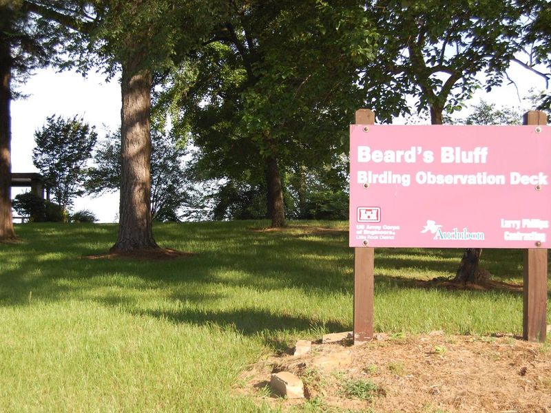 BEARD'S BLUFF PARK BIRDING OBSERVATION DECK